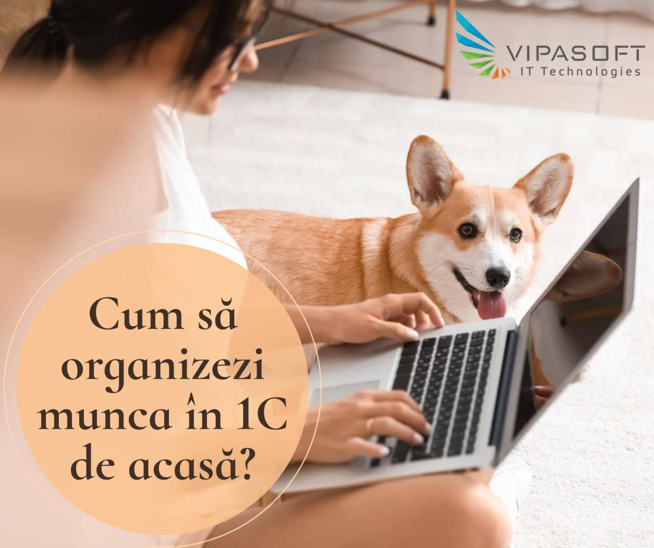 Cum să organizezi munca în 1C de acasă?